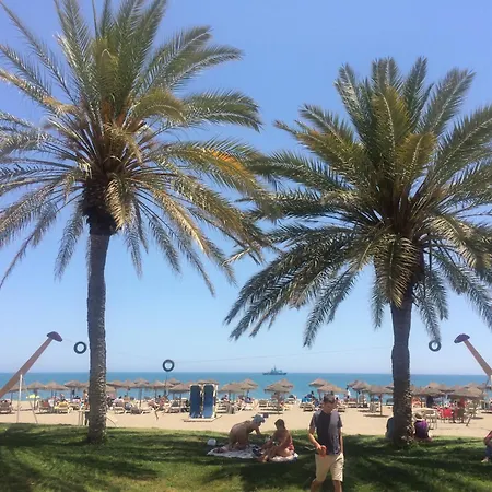 Mediterranean *