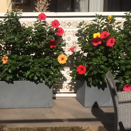 Mediterranean * Málaga